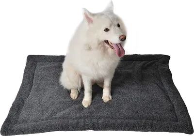 Produktbild von RAIKOU Hundedecke Katzendecken Waschbar und Flauschig, Weiche Warme Fleece Haustier Decken für Kleine Mittlere Hunde Katzen, Haustierdecke Schlafmatte für Sofa Bett, Schwarz Melange 60x40 cm