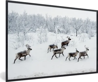 Produktbild von MuchoWow® MuchoWow® Gerahmtes Poster Rentier - Schnee - Wald - Winter 90x60 cm - Poster mit zchwarzem Bilderrahmen - Fotorahmen - Foto-Plakat