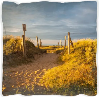 Produktbild von Wallario Premium Kissen, weiche Oberfläche, mit Motiv Düne am Strand bei Sonnenuntergang in Frankreich, Größe: 40 x 40 cm, mit weißer Rückseite