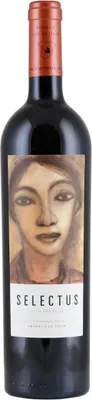 Produktbild von Los Aljibes Selectus 2007 | Rotwein | Spanien | 1 x 0,75 Liter