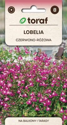 Zdjęcie produktu dla Lobelia czerwono-różowa Nasiona kwiatów - 551 Toraf