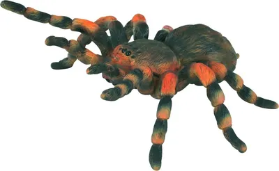 Zdjęcie produktu dla COLLECTA tarantula meksykańska - (L)
