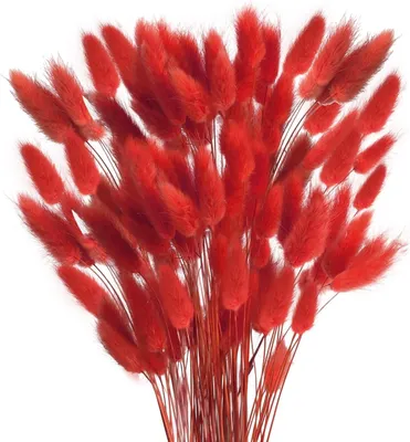 120 getrocknete Hasenschwanzblumen, rosa Pampasgras, 45 cm, für Vase