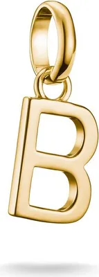 Produktbild von Thomas Sabo Charm Club Connect CC1208-413-39 Charm Anhänger