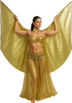 Immagine prodotto di Capo di Carnevale del Mito Egizio Coperta del Faraone Mantello Divino Veste Maestosa Costume di Carnevale Colore Oro Brillantezza Antica Eleganza, Colore: Oro