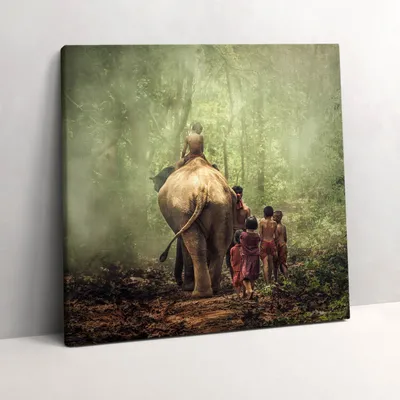 Produktbild von Children and an elephant – Leinwandbild Wandbild – 60x60 cm – Leinwandbilder – Wandbilder – Schlafzimmer – Flur