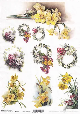 Zdjęcie produktu dla Papier ryżowy do decoupage A4 ITD-R2191 kwiaty, żonkile, prymulki