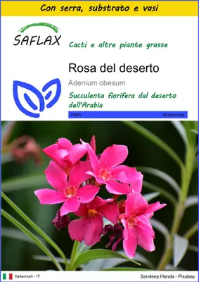 Immagine prodotto di SAFLAX Insieme di coltivazione - Rosa del deserto - 8 semi - Adenium