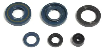 Immagine prodotto di Kit paraolio motore ATHENA P400250400061 per Kawasaki/Suzuki