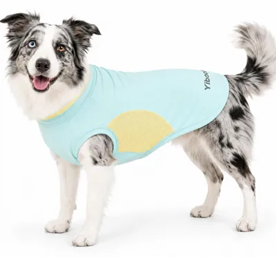 Produktbild von 50+ UV-Schutz Hundeshirt – Leicht und atmungsaktiv