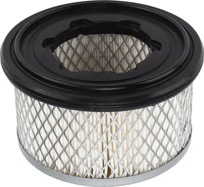 Zdjęcie produktu dla Filtr powietrza ED2175306S zamiennik do Lombardini 15LD440B1 15LD225 15LD350 15LD400 15LD440