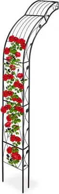 Immagine prodotto di Mezzo rosone ad arco per fissaggio a parete