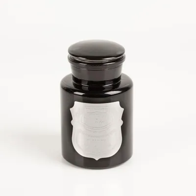 Image de Bougie parfumée Apothecary Noir Baltic Ember 226 g – Paddywax