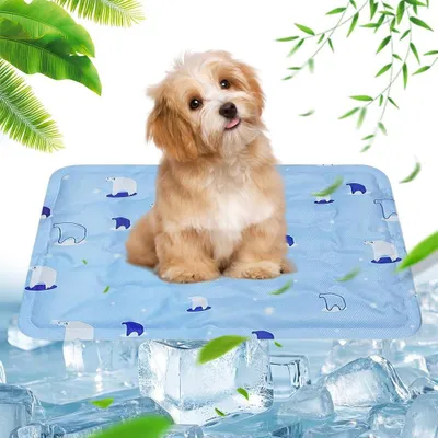 Produktbild von Kühlmatte für Hunde, selbstkühlend, 1 Stück, für warme Tage