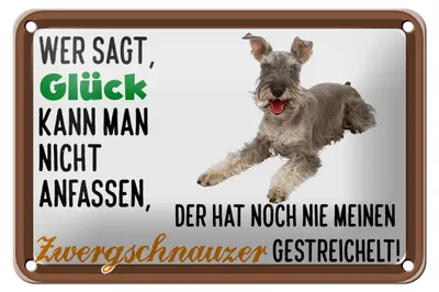 Produktbild von Blechschild Spruch 18x12cm Glück Zwergschnauzer Hund
