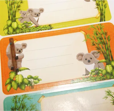Produktbild von 12 Schuletiketten - Rechteck - Koalas