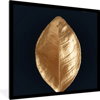 Produktbild von MuchoWow® MuchoWow® Gerahmtes Poster Blätter - Luxus - Gold 40x40 cm - Poster mit zchwarzem Bilderrahmen - Mit Rahmen - Wanddekoration Schlafzimmer