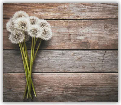Produktbild von Tulup Glas Herdabdeckplatte Glaskeramikkochfeld-Abdeckung Spritzschutz Glasabdeckplatte Kochplattenabdeckung und Schneidebrett - Einteilig - 60x52 cm Pusteblume Holz