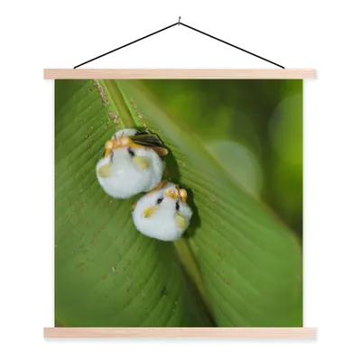 Produktbild von MuchoWow® Textilposter Weiße Fledermäuse auf grünem Blatt 60x60 cm mit holzfarbenen Rahmen - Wanddekoration