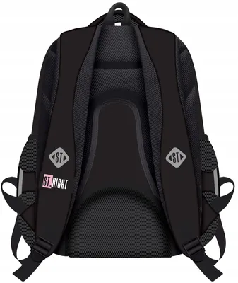 The back of a black backpack is shown against a white background.