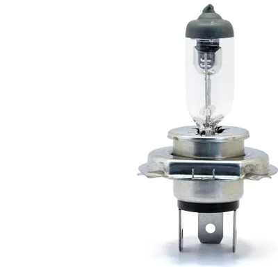 Obrázok produktu pre H4 EINPARTS žiarovky 12V 60/55W P43t EPB54