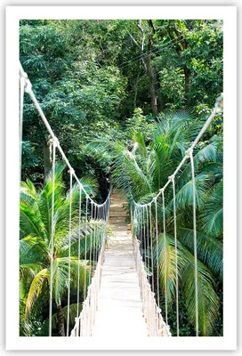 Produktbild von Poster - Poster ohne Rahmen - Tropen Dschungel Brücke - 61x91,5 cm - Wand Bild - Wanddeko - Wandbilder - Kunstposter - Wandposter - Bilder - Kunstdruck - Wanddekoration - Wandbild - P2XPA61x91-4963