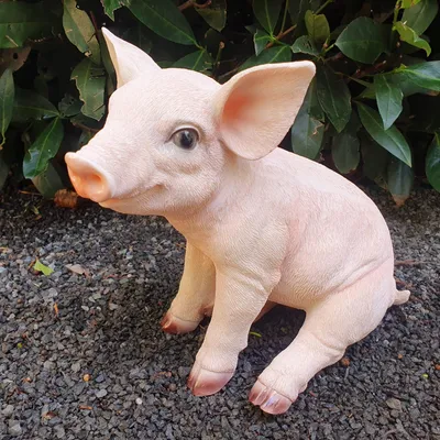 Produktbild von Gartenfigur Schwein Figur sitzend rosa 23 cm Kunstharz – kompakt, handbemalt