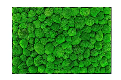 Obrázok produktu pre Gardners Mechový obraz 100x140 cm z kopečkového mechu, černá