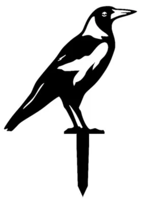 Image de Objet décoratif de jardin Oiseau en métal noir - 46 × 32 cm