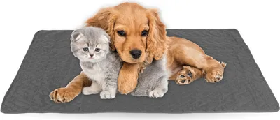 Image de Couverture pour animaux de compagnie avec rembourrage - 80 cm x 120 cm - Anthracite (R)