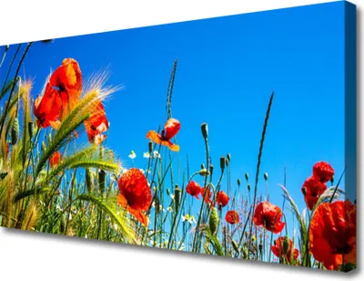 Produktbild von Tulup Leinwand-Bilder 100x50 Wandbild Canvas Kunstdruck Blumen Pflanzen