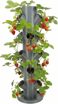 Immagine prodotto di Piastra di base per ombrellone – 47 x 47 cm – 14 kg di cemento