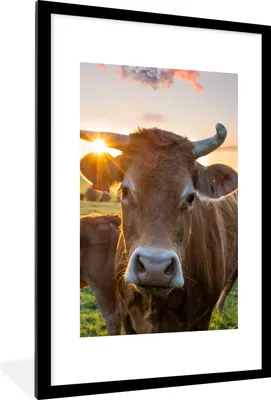 Produktbild von MuchoWow® Gerahmtes Poster Kühe - Sonne - Wiese - Landleben 60x90 cm - Poster mit Schwarzem Bilderrahmen Wandposter Rahmen Foto Bilder - Dekoration - Wandposter Wohnzimmer - Hochwertig