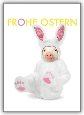 Produktbild von 4x Glücksbringende Osterkarte mit Schweinchen im Osterhasenkostüm: