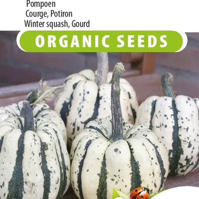 Image de Graines de courge sucrées – Cultivez dans votre jardin des courges sucrées et décoratives à des fins culinaires et décoratives.
