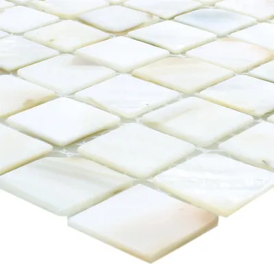 Produktbild von Mosaikfliesen Muschel Kordon Weiss