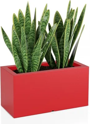 Immagine prodotto di promondo living: Fioriera LUNGO rosso (Lungo Czerwony)