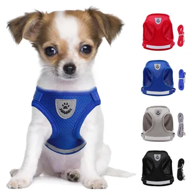 Produktbild von Hundegeschirr – Geschirr mit Leine – Reflektierend – Atmungsaktives Mesh-Material – Für kleine Hunde und Katzen
