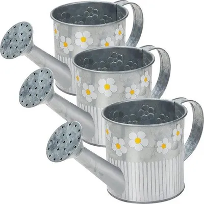Image de Ensemble de 3 arrosoirs de jardin en zinc galvanisé - Arrosoirs de style rustique - Décoration rustique pour la maison et le jardin