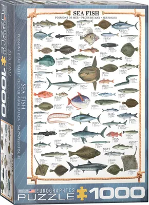 Obrázek produktu pro Mořské ryby Mořské ryby - 1000 dílků puzzle ve formátu 68x48 cm