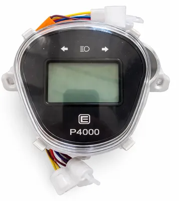Productafbeelding van Aanwijzinginstrument voor loodaccu voor elektrische voertuigen en seniorenvoertuigen, modellen P4000 en J4000