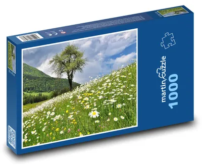 Obrázek produktu pro Puzzle 1000 Rozkvetlá louka - martinpuzzle
