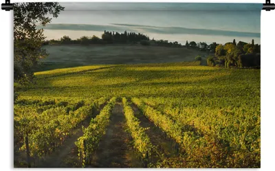 Produktbild von MuchoWow® Wandteppich Wandbehang Toskana - Landschaft - Wein 60x40 cm Tapisserie Dekoration Wandtuch - Wanddekorationen