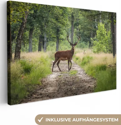 Produktbild von OneMillionCanvasses® - Leinwandbilder - 140x90 cm, Wald - Hirsche - Bäume, Wandbilder Kunstdruck Wanddekoration
