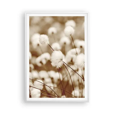 Produktbild von Gerahmtes Poster - Weißer Rahmen - Baumwolle Boho Wollig - 70x100 cm - Wand Bild - Wanddeko - Wandbilder - Kunstposter - Wandposter - Bilderrahmen - Bilder - Kunstdruck - P2WPA70x100-4850