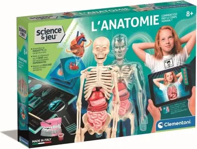 Image de Clementoni - Anatomie - 52661