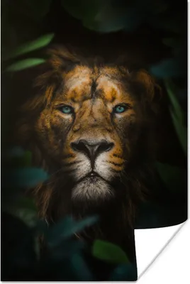 Produktbild von MuchoWow® Poster Löwe - Dschungel - Blätter 80x120 cm - Papierdruck