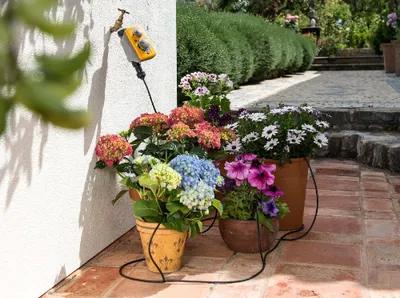 Image de Kit d’arrosage automatique Micro Irrigation 25 pots