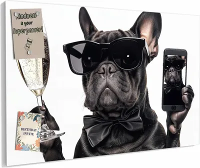 Produktbild von Magnettafel 60x40cm magnetisch & beschreibbar Metall-Board - Sonnenbrillenhund