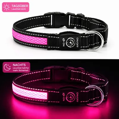 Produktbild von Premium LED Hundehalsband USB aufladbar reflektierend Leuchthalsband verstellbar S–L für Hunde Nacht Sicherheit inkl. Ladekabel Gr. M (40cm) - PINK, KI-generiertes Bild